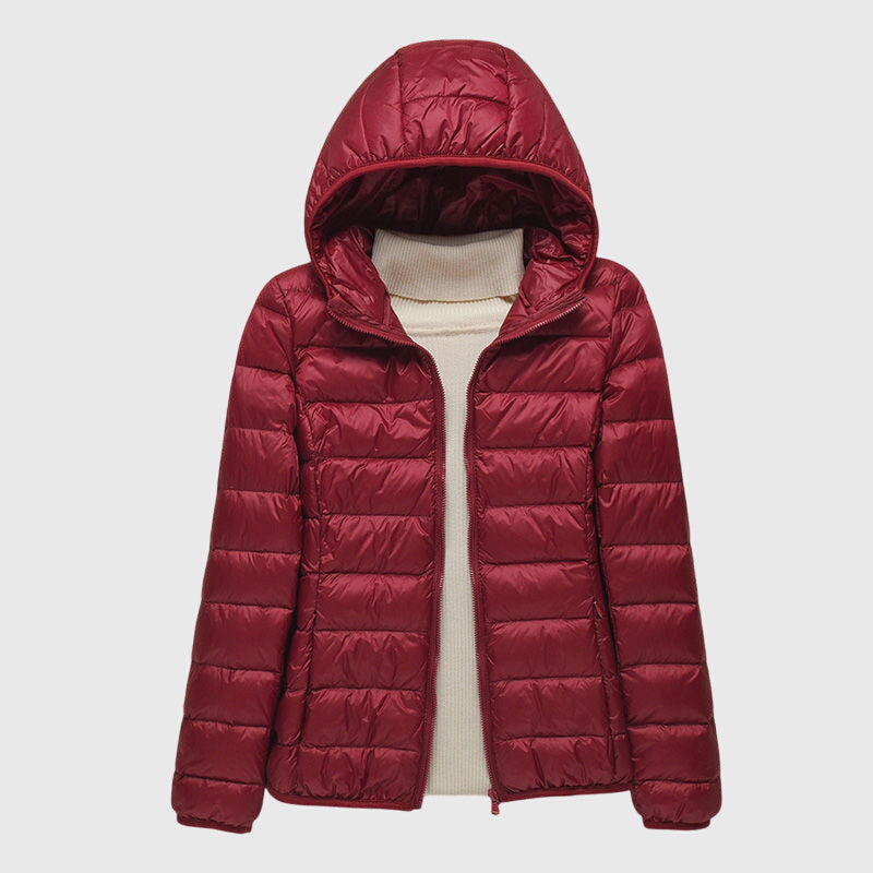 Burgundy / 5XL