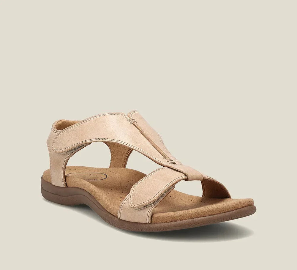 Beige / 11.5