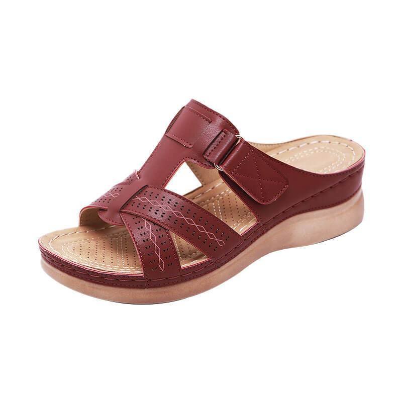 Dark Brown / 12